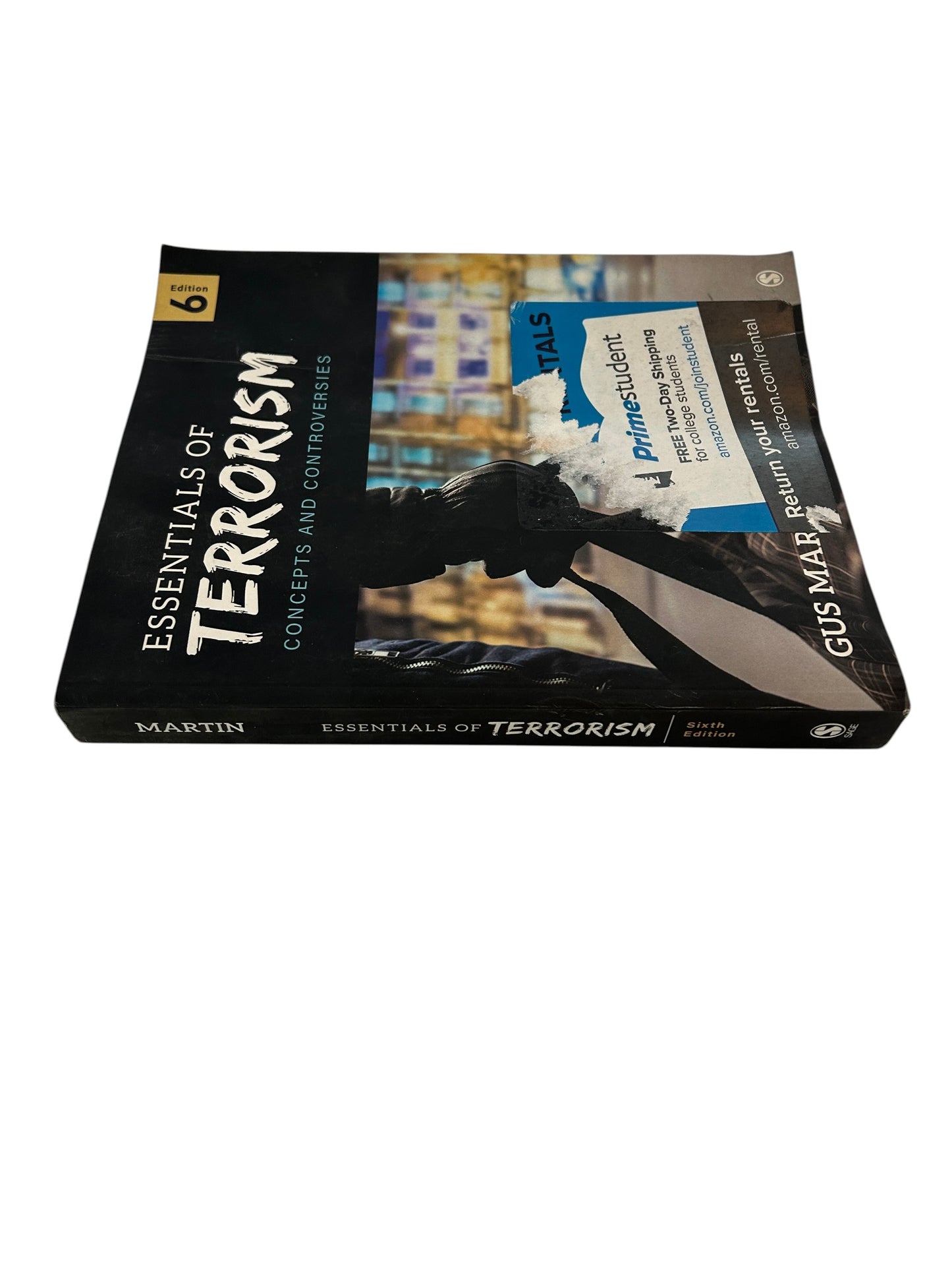 Essentials of Terrorism: Concepts and Controversies textbook, 6th Edition by Gus Martin.