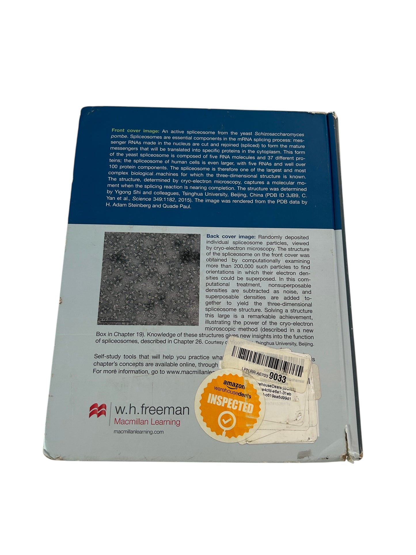 Lehninger Principles of Biochemistry textbook, Seventh Edition, a comprehensive biochemistry reference commonly used in college courses.